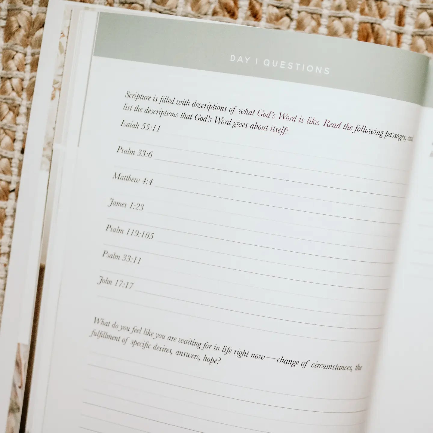 Never Alone Bible Study