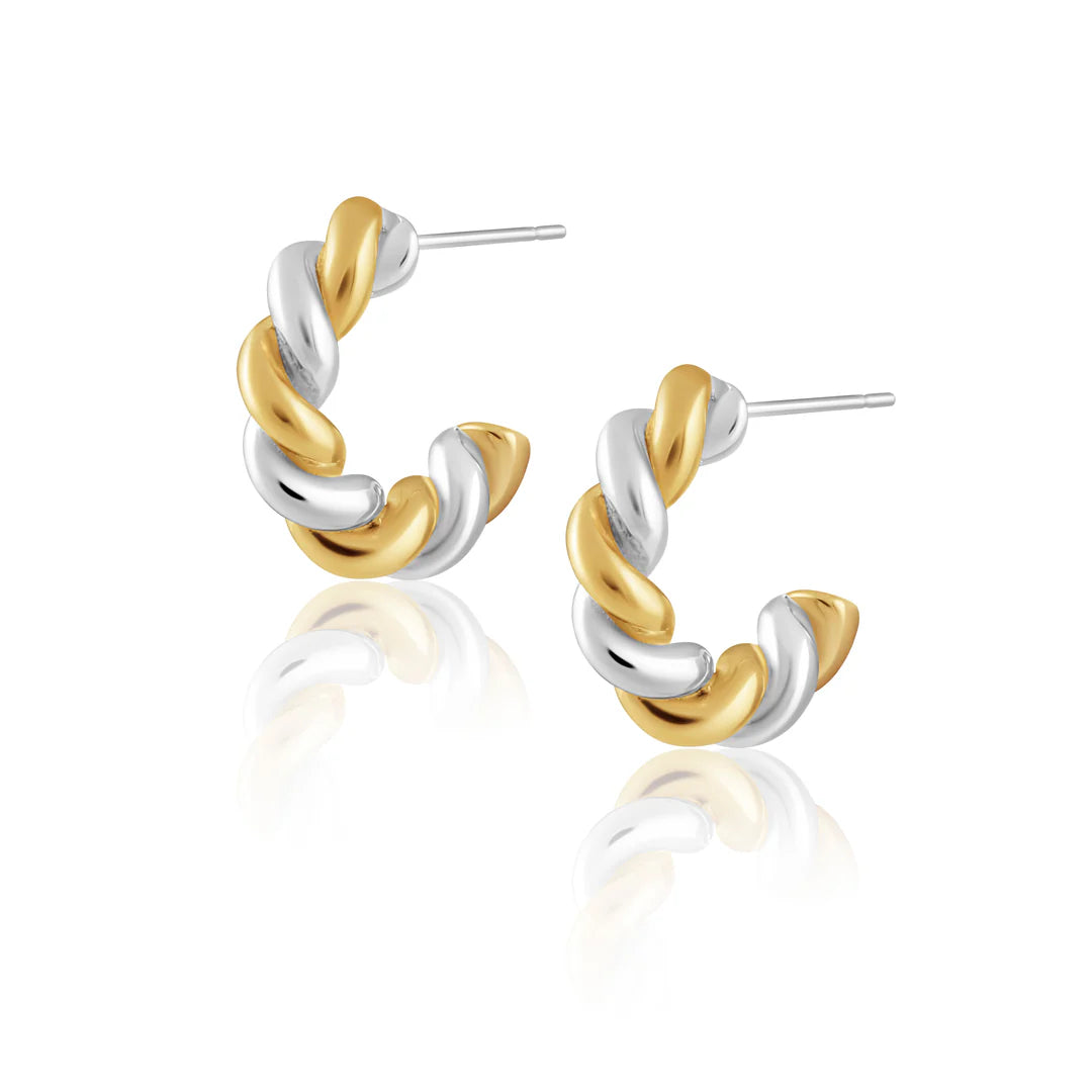 Two Tone Twist Hoop