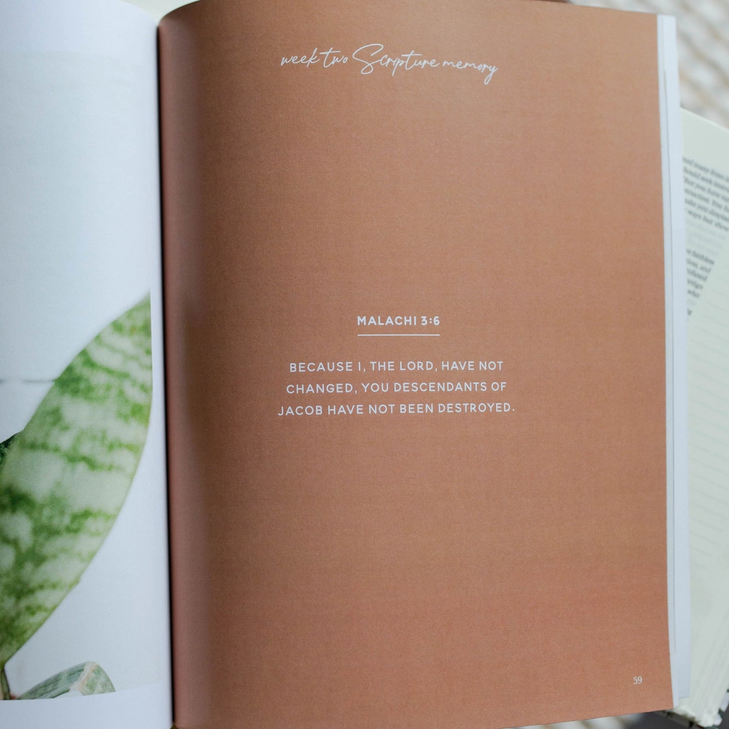 Waiting for Hope Devotional