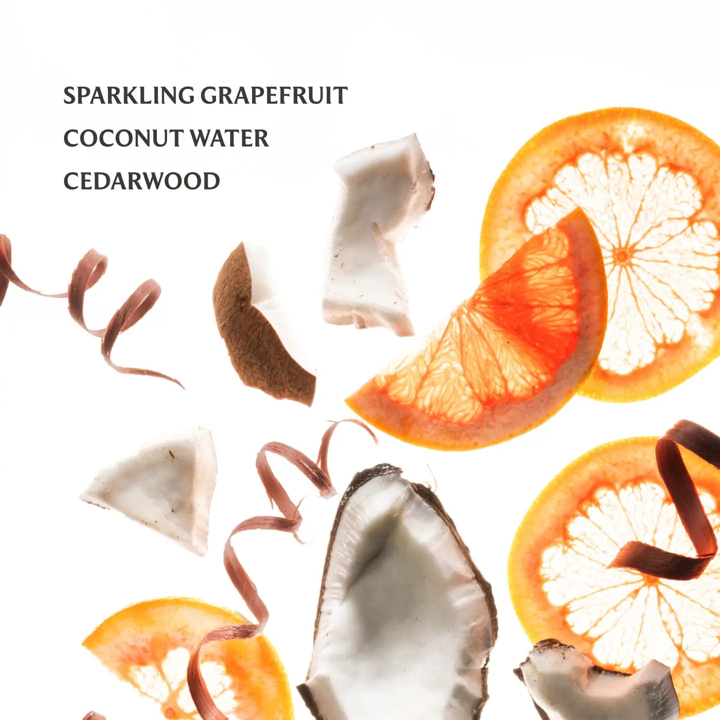 Beach Coco Power Mist Sanitizer