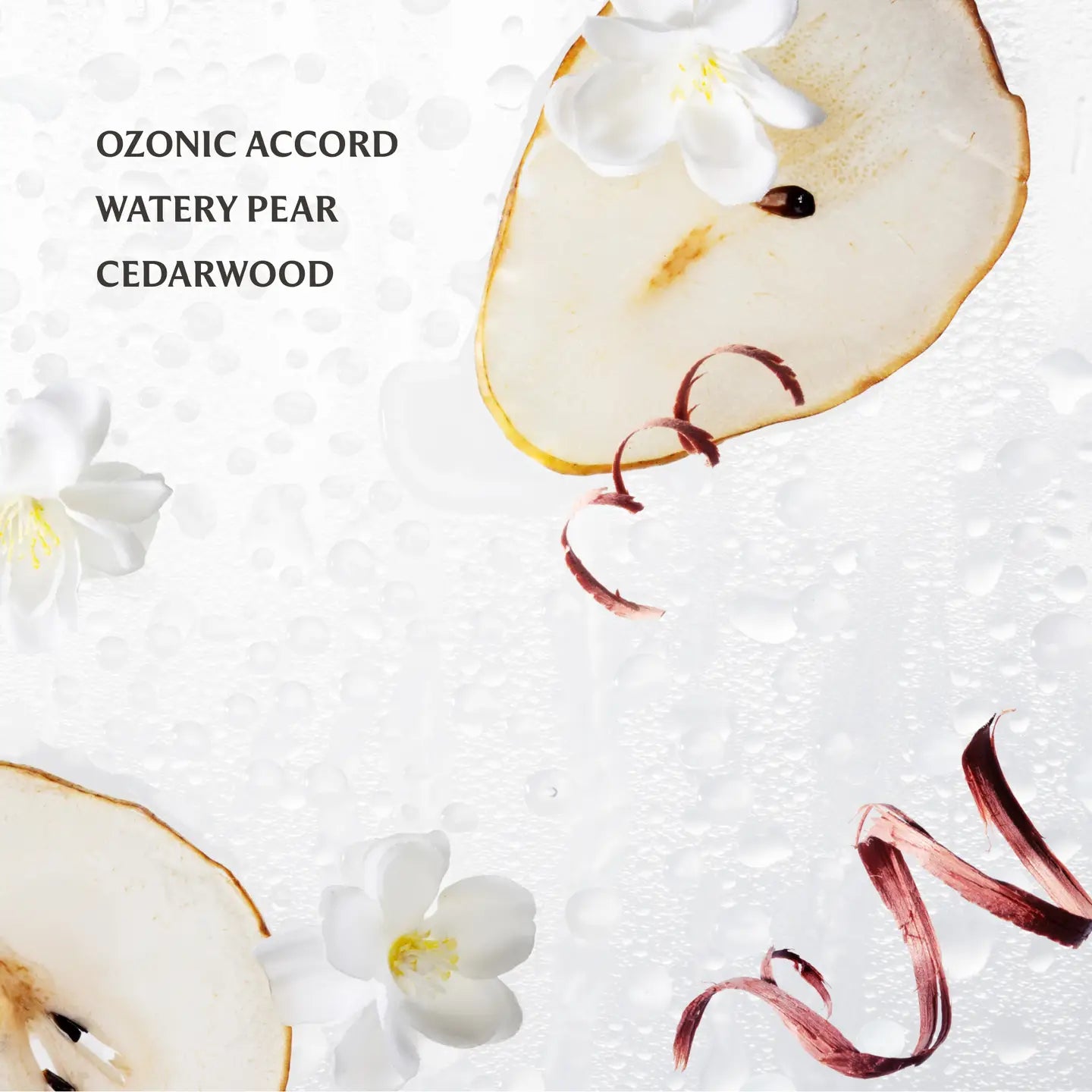 Rainwater Power Mist Sanitizer