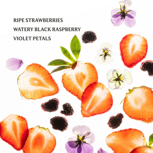 Berry Bliss Power Mist Sanitizer - Motley Market