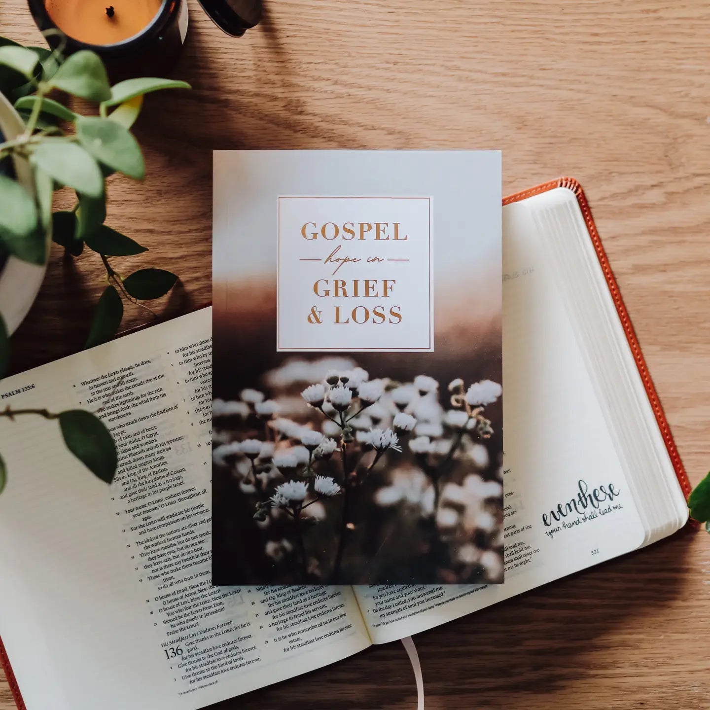 Grief & Loss Devotional - Motley Market