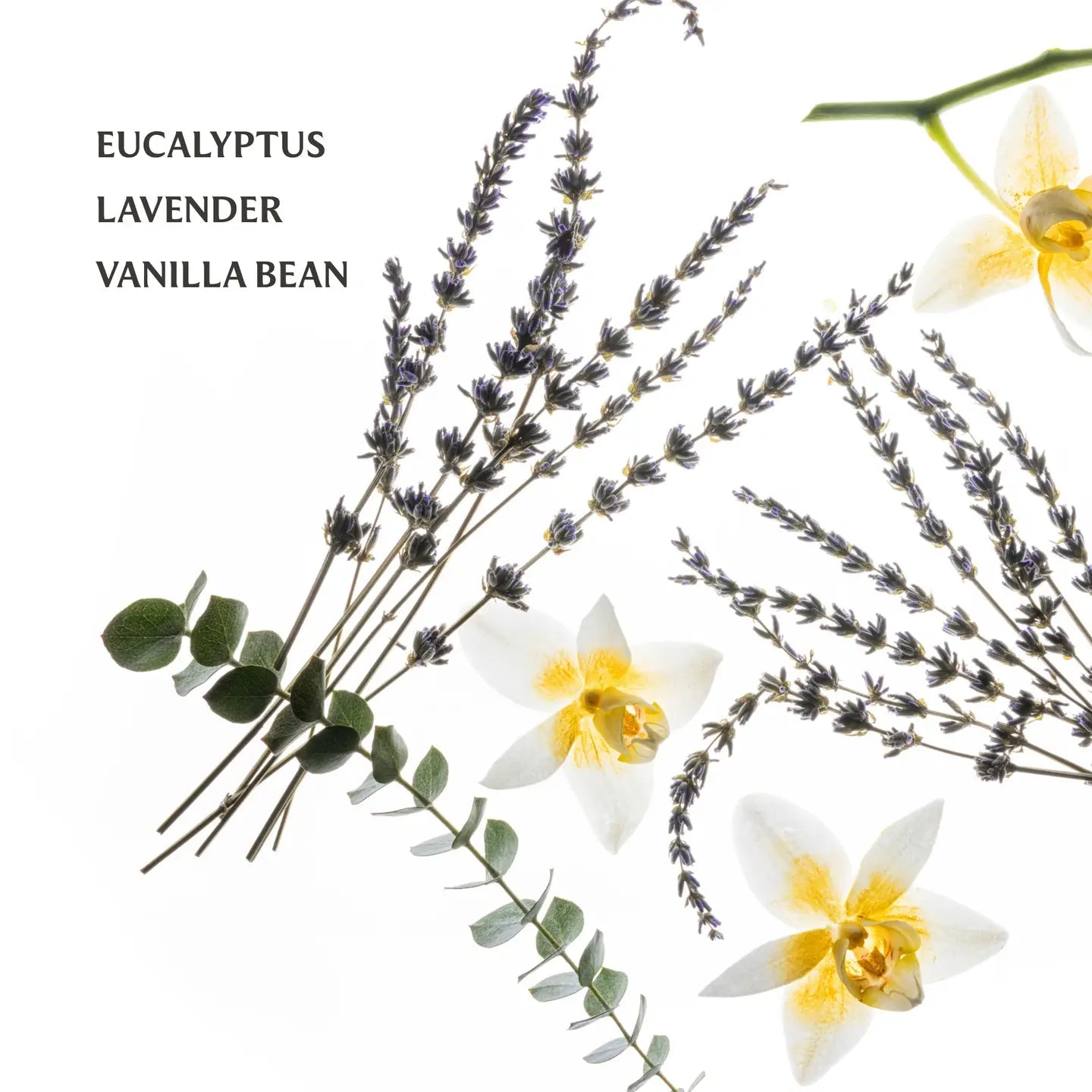 Pure Lavender Power Mist Sanditizer - Motley Market
